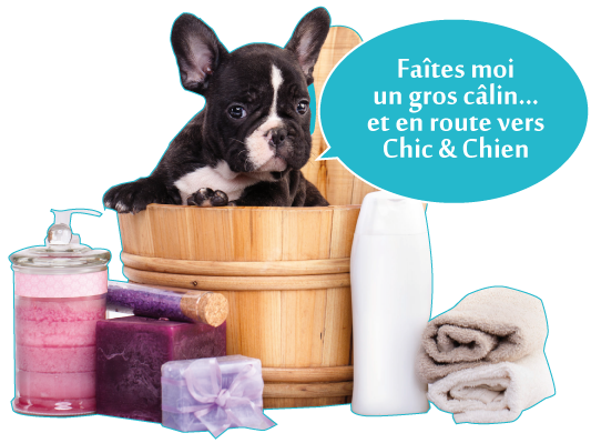 Chic et chien votre salon de toilettage au meilleur prix Ã  GenÃ¨ve